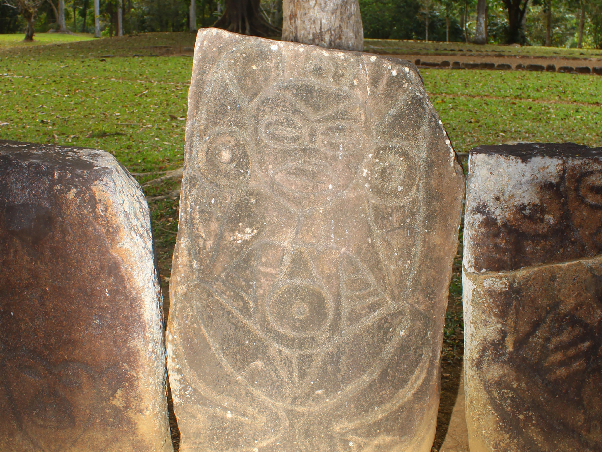 Puppies Puppies (Jade Guanaro Kuriki-Olivo): Indigenous Power (Ancestral Wisdom)